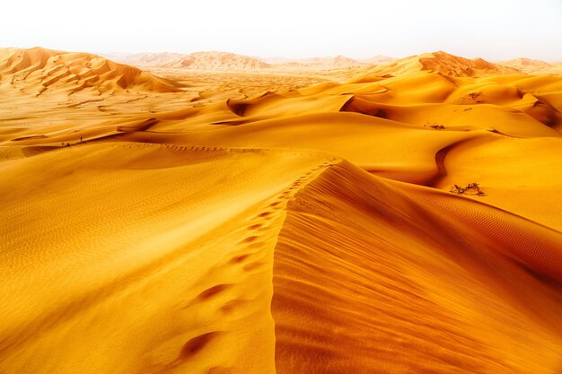 Photo des dunes de sable dans le désert contre le ciel.