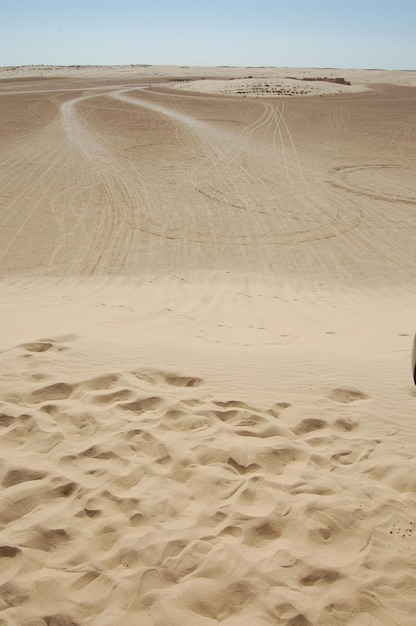 Dunes de sable dans le désert du sahara en afrique