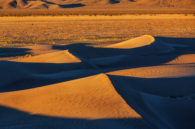 Dunes de sable dans le désert du Sahara