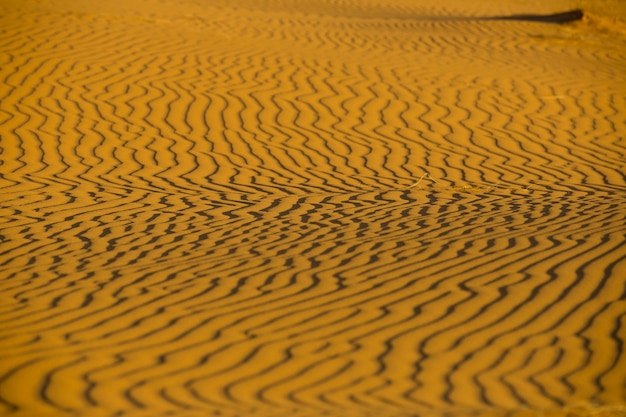 Photo dunes de sable dans le désert du sahara