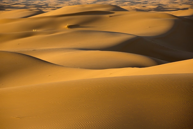 Dunes de sable dans le désert du Sahara