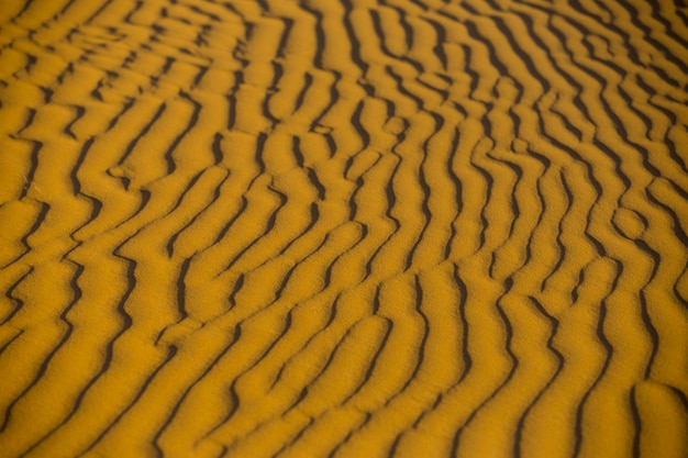 Dunes de sable dans le désert du Sahara