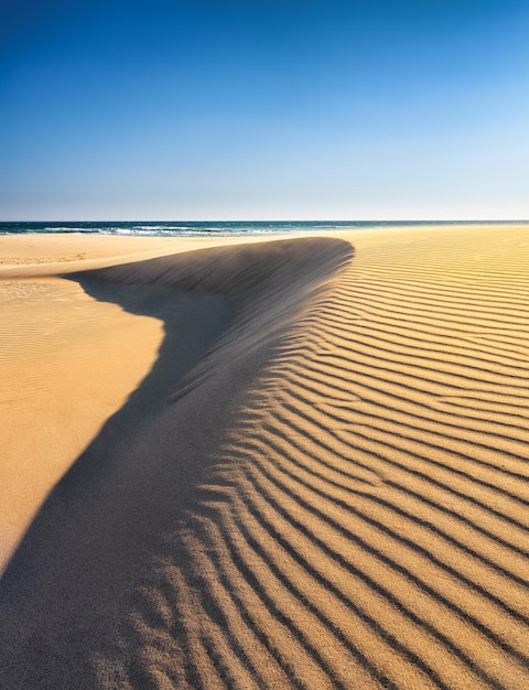 Dunes de sable dans le désert Paysage de jour Lignes dans le sable Dunes et ciel Paysage d'été dans le désert Temps chaud