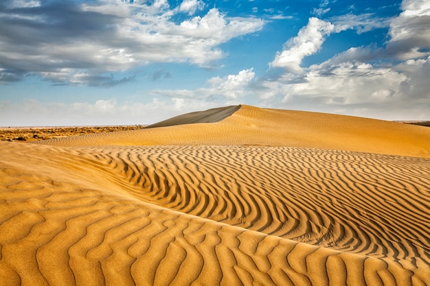 Dunes de sable dans le désert