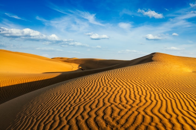 Dunes de sable dans le désert