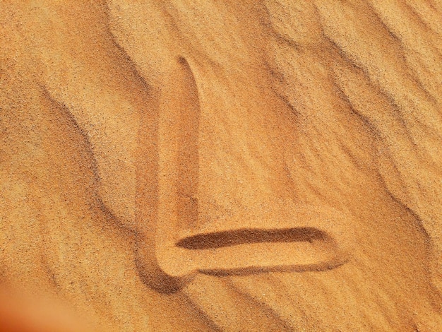 Dunes de sable dans le désert