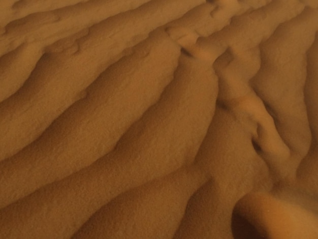 Dunes de sable dans le désert