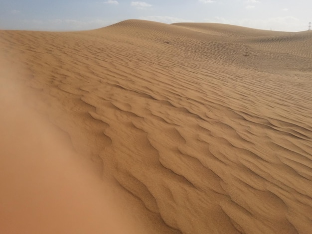 Dunes de sable dans le désert