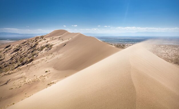 Dunes de sable dans le désert