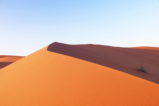 Des dunes de sable dans le désert.