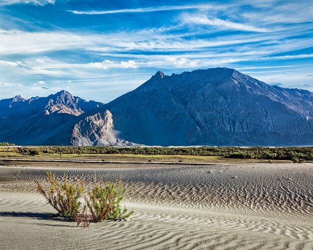 Dunes de sable dans la vallée de la Nubra, Ladakh