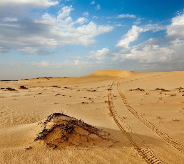 Des dunes de sable du désert au lever du soleil Mui Ne Vietnam