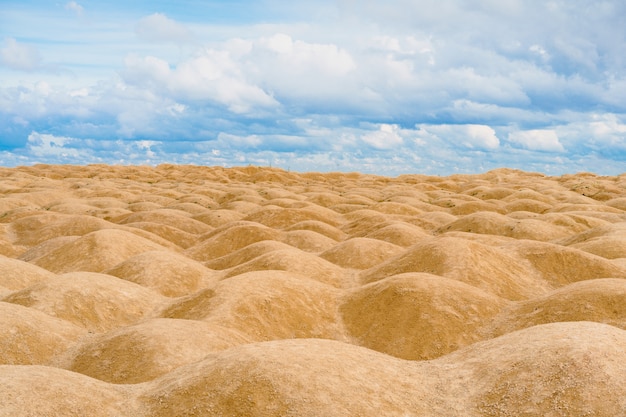 Dunes de sable de forme bizarre