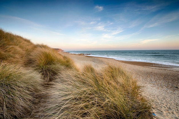 Dunes de sable à Hengistbury Head