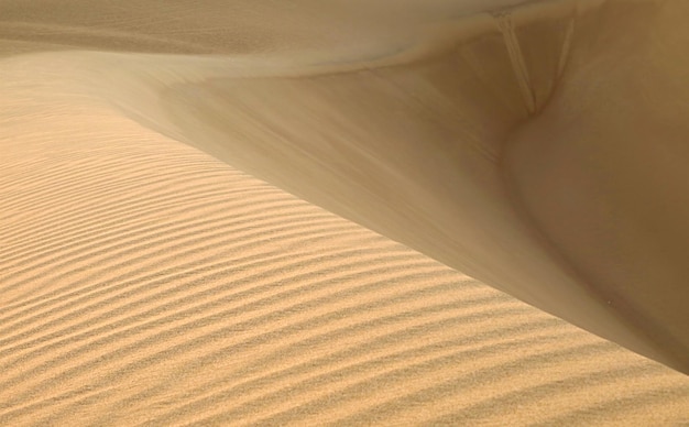 Dunes de sable incroyables au soleil dans le désert de Huacachina dans la région d'Ica Pérou Amérique du Sud