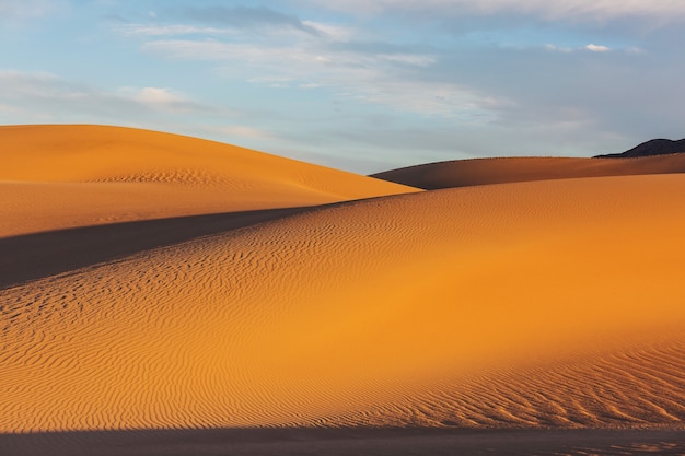 Dunes de sable intactes dans le désert reculé