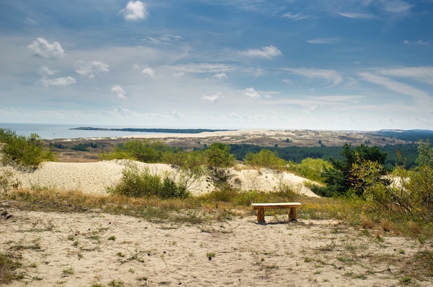 Dunes de sable sur l'isthme de Courlande près de la ville de Nida. Klaipeda, Lituanie