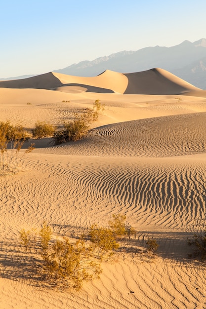 Dunes de sable de Mesquite Flat dans le désert de la Vallée de la Mort - Californie