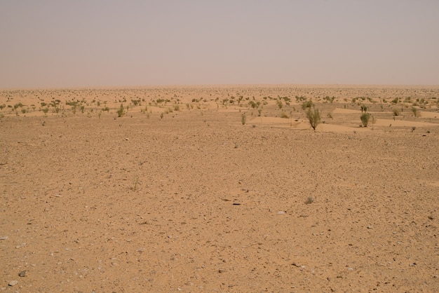 dunes de sable orange dans le désert du sahara