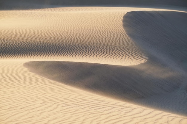 Les dunes de sable pendant le coucher du soleil et le vent fort Paysage d'été dans le désert Temps chaud Lignes dans le sable Paysage sans personnes