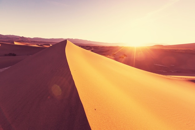Photo dunes de sable pittoresques dans le désert