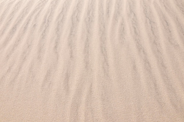 Dunes de sable sur la plage en arrière-plan.