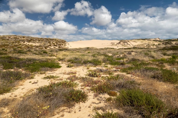 Dunes de sable de la plage de Guincho