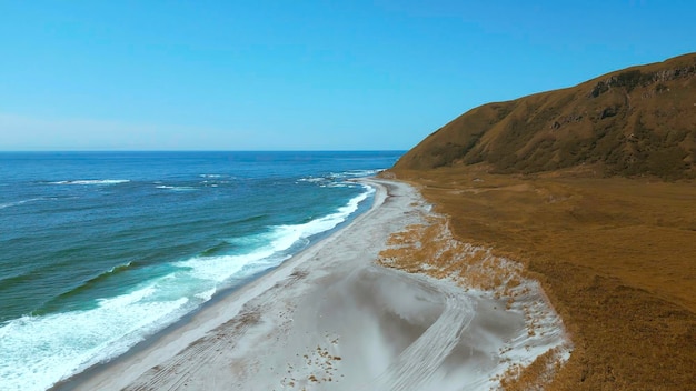 Des dunes de sable recouvertes d'herbe jaune sur la côte de l'océan. Vue aérienne de la prairie brûlée et