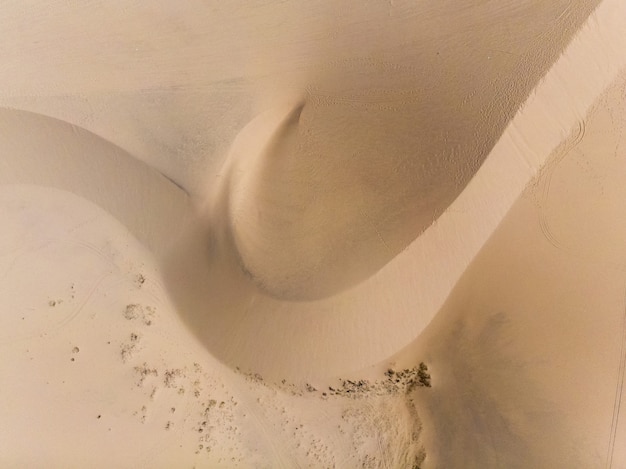 Dunes de sable sinueuses en fond de désert