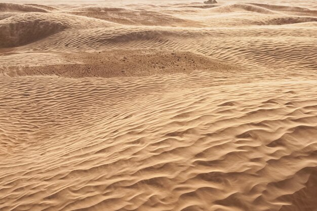 Dunes de sable solitaires dans un vent fort sous le ciel sur fond de désert aride