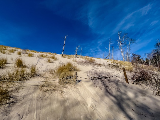 Les dunes de sable sont un peu comme une dune de sable.