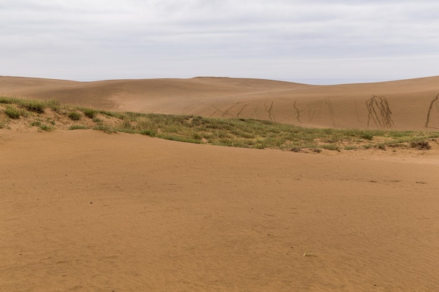 Photo dunes de sable de tottori au japon