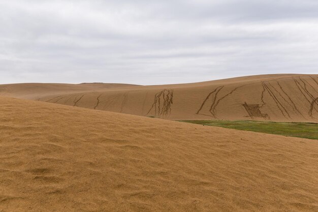 Photo dunes de sable de tottori au japon