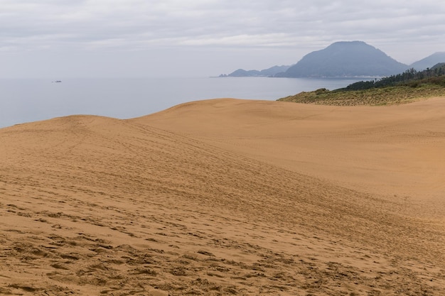 Photo dunes de sable de tottori au japon