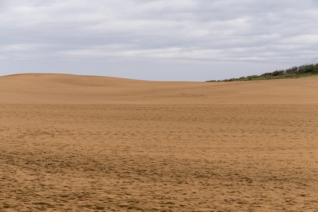 Photo dunes de sable de tottori