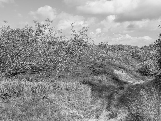 les dunes de Spiekeroog