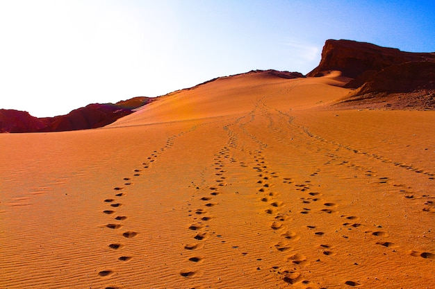 Photo dunes