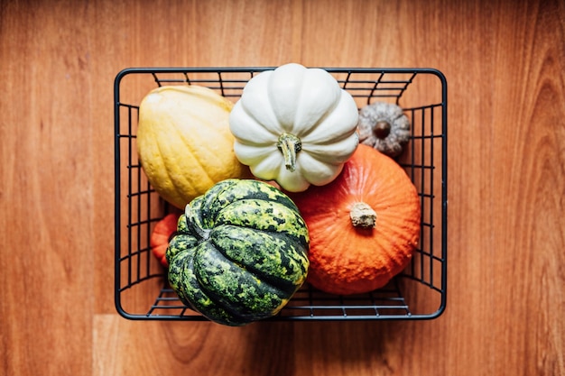 Durable Eco Friendly slow living Thanksgiving Diverses citrouilles de Thanksgiving dans un panier en métal Panier minimaliste moderne avec de nombreuses citrouilles décoratives