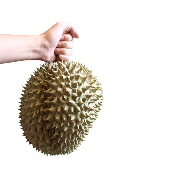 Durian frais Les durians sont le roi des fruits Tropical des fruits asiatiques