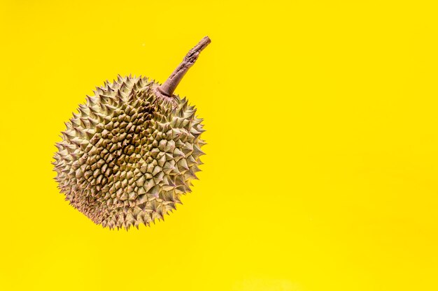 Durian frais sur fond jaune avec espace de copie