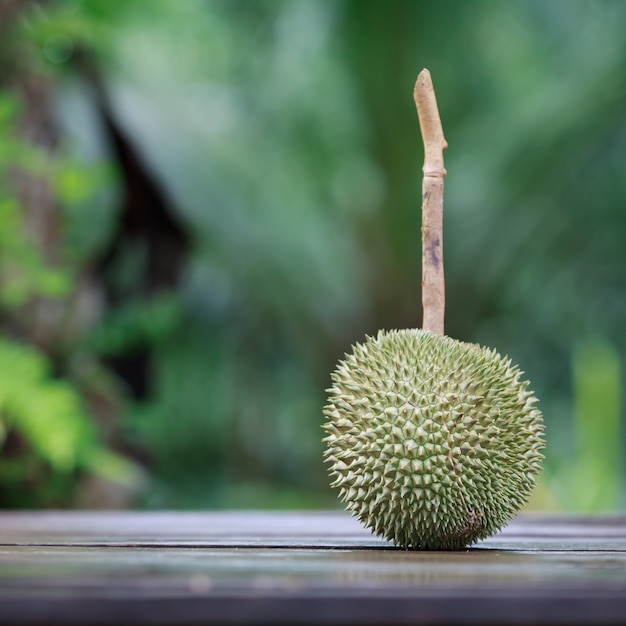 Durian frais sur table en bois.