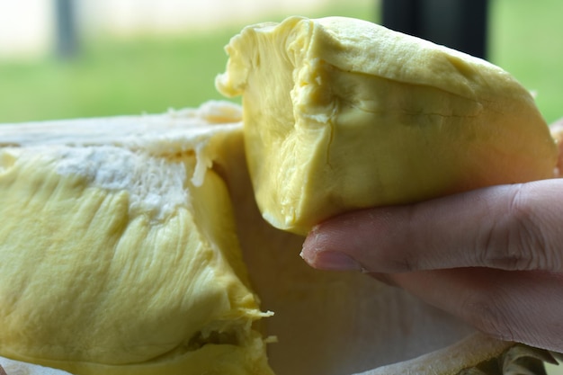 durian Le fruit durian est un fruit de saison populaire qui est doux et délicieux
