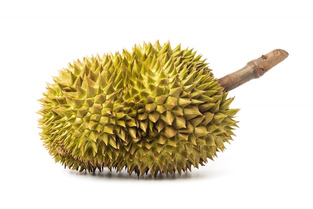 Durian isolé sur fond blanc. Roi des fruits en Thaïlande.