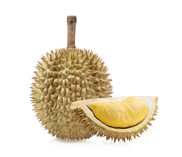 Durian isolé sur fond blanc.