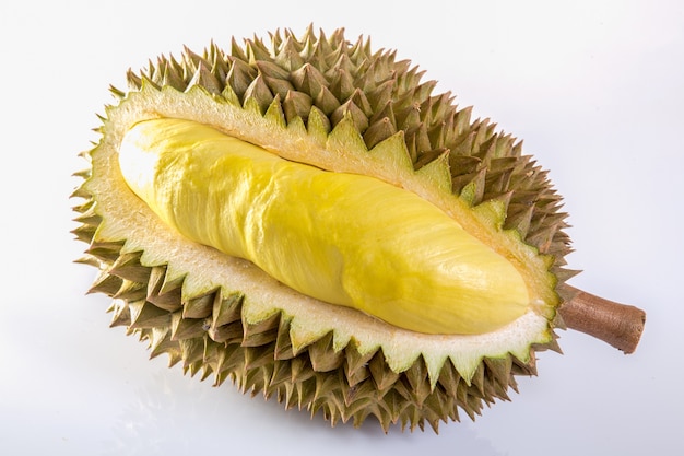 Durian isolé sur fond blanc