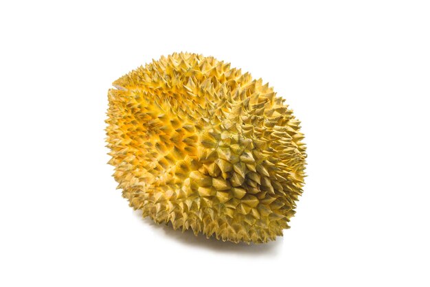 Un durian isolé sur fond blanc