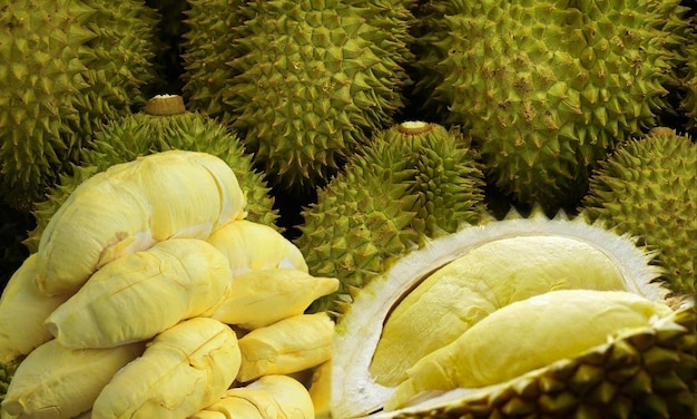 Durian jaune à écorce épineuse C'est un fruit populaire