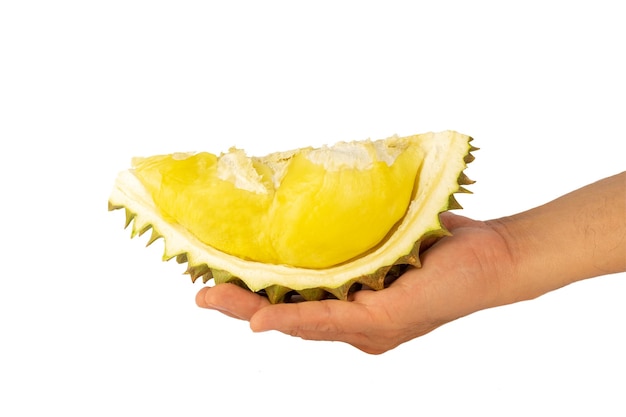 Durian sur la main des hommes isolé sur fond blanc Asie fruits