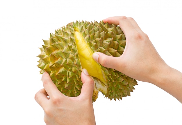 Durian pelé à la main isolé