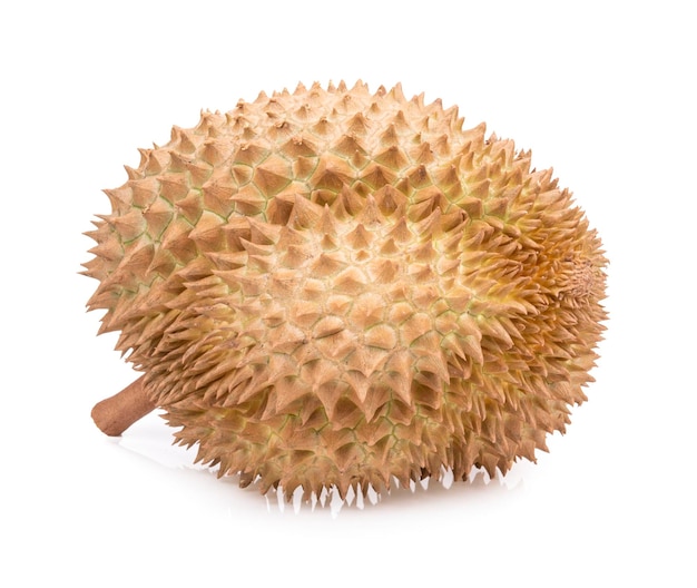 Durian roi des fruits isolé sur fond blanc
